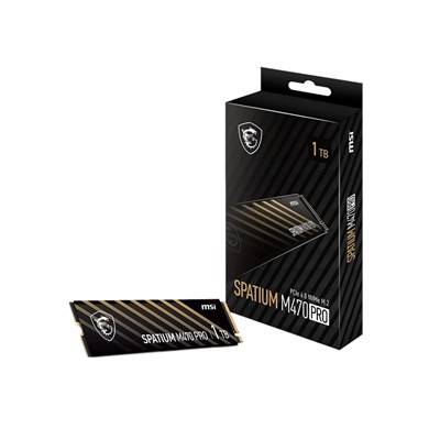 Msı Spatıum M470 Pro 1 Tb Nvme Ssd 6000/4500