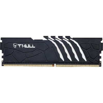 16 Gb Ddr4 3200Mhz Thull Vortex Cl22 1.2V Black Hs (Thl-Pcvtx25600d4-16G-B)