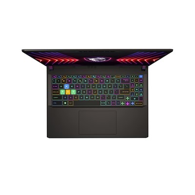 Msı Vector 16 Hx A14vıg-825Xtr I9-14900Hx 32Gb 2Tb Ssd 16Gb Rtx4090 16" Qhd 240Hz Freedos Gamıng Notebook